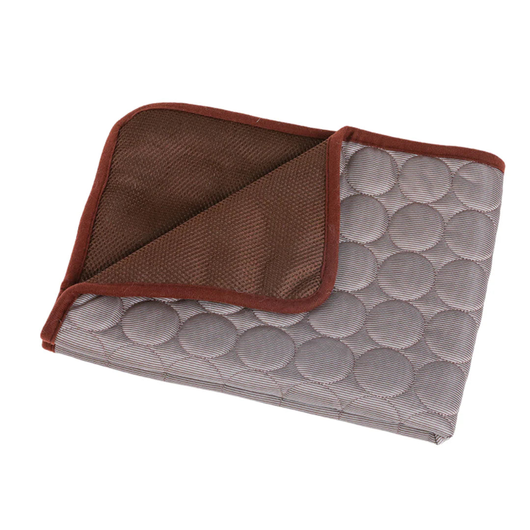 Tapis Rafraîchissant pour chien