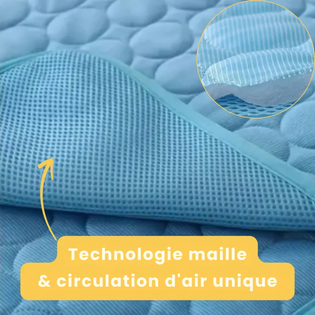 Tapis Rafraîchissant pour chien