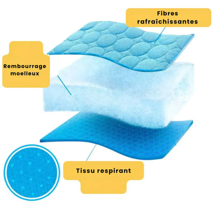 Tapis Rafraîchissant pour chien