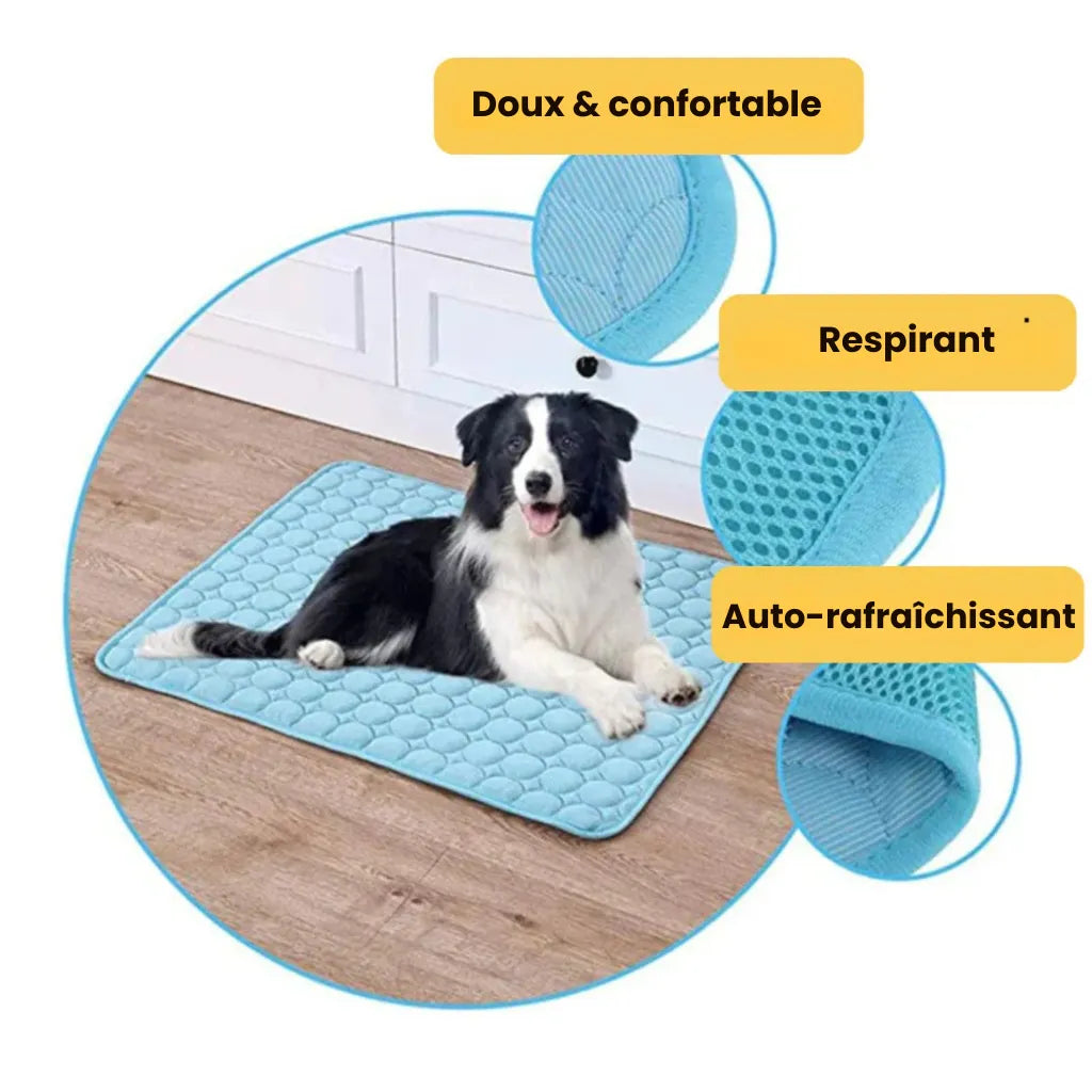Tapis Rafraîchissant pour chien