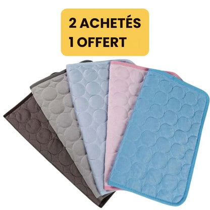 Tapis Rafraîchissant pour chien