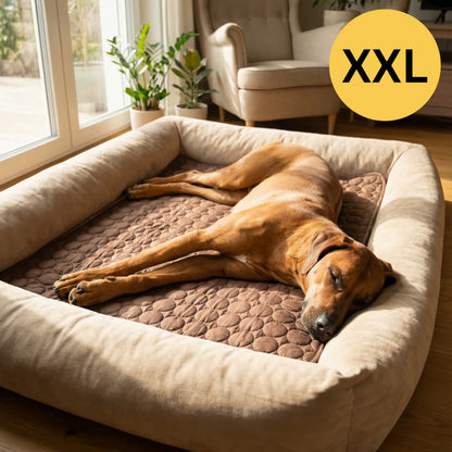 Tapis Rafraîchissant pour chien