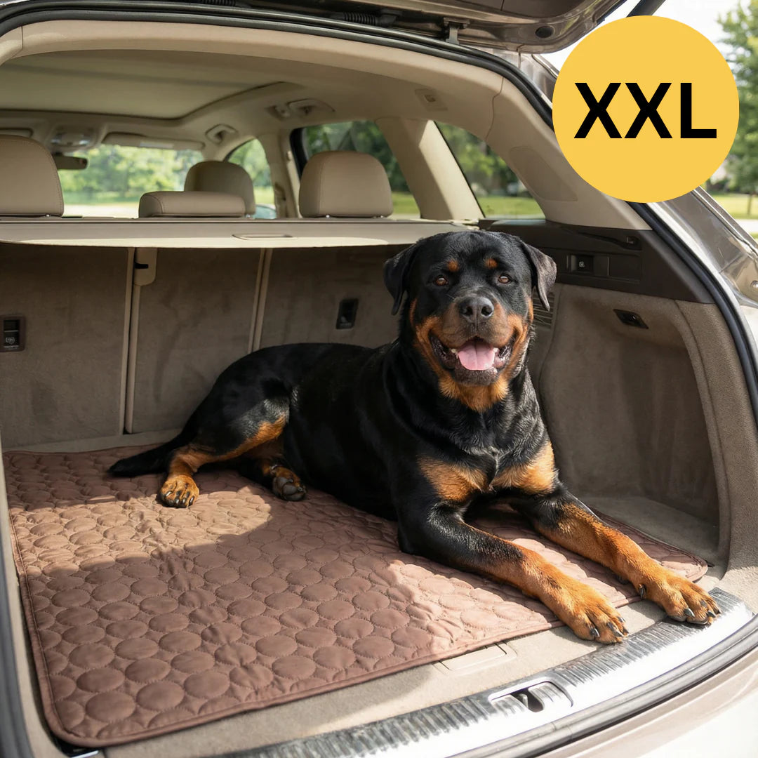 Tapis Rafraîchissant pour chien