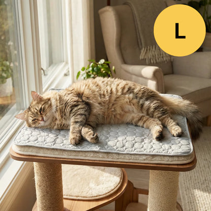Tapis Rafraîchissant pour chien
